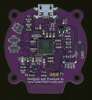 Standalone LCD Animated Eye Circuit Board from Andrea's Top Hat
